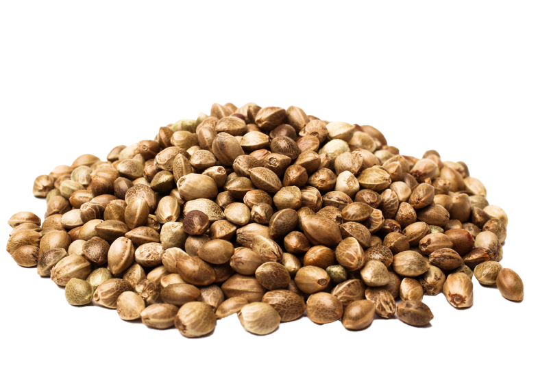 Hemp Seeds