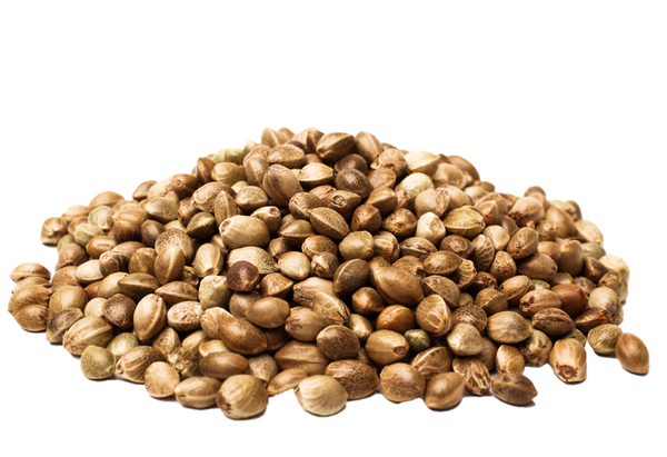 Hemp Seeds