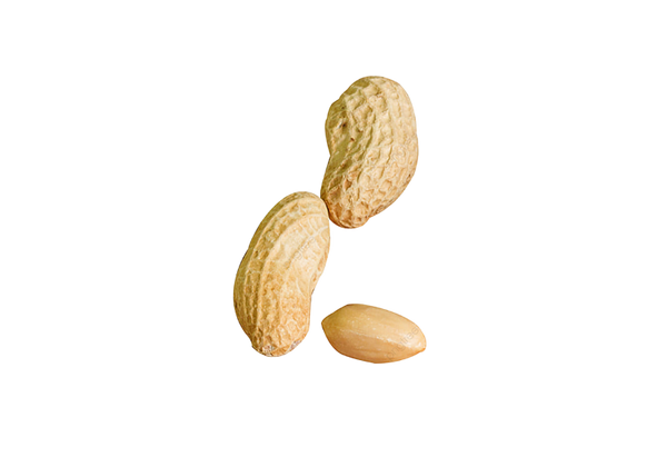 Peanuts