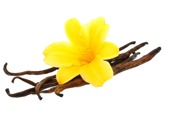 Vanilla
